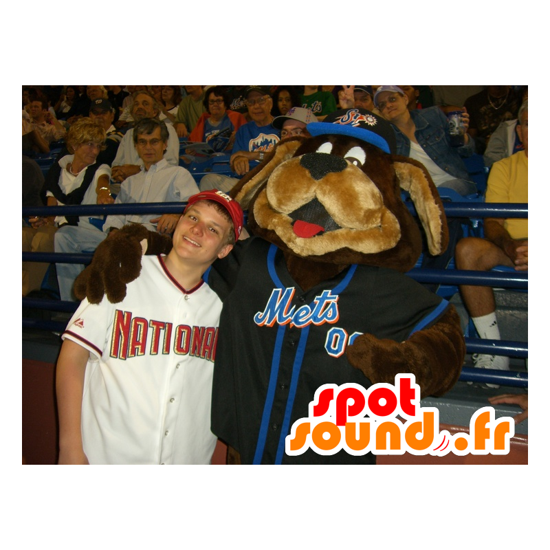 Mascota Perro de Brown en ropa deportiva - MASFR21581 - Mascotas perro Mascota Perro de Brown en ropa deportiva - MASFR21581 - Mascotas perro