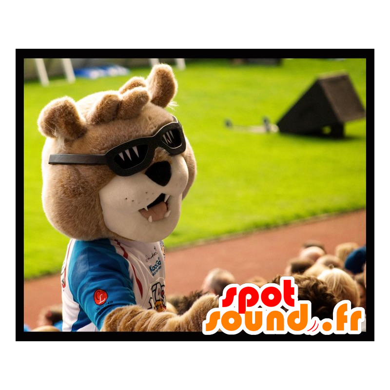 De mascote urso pardo com óculos de sol - MASFR21584 - mascote do urso