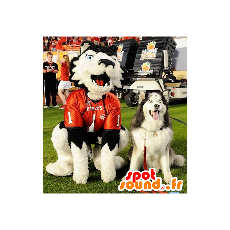 Vit och svart hundmaskot, med blå ögon - Spotsound maskot Vit och svart hundmaskot, med blå ögon - Spotsound maskot
