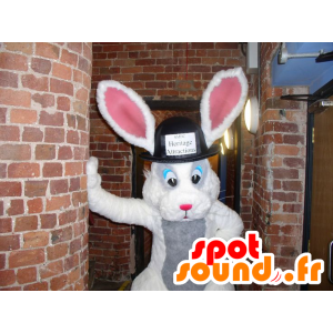 Mascotte white and gray rabbit with a big hat - MASFR21613 - Rabbit mascot