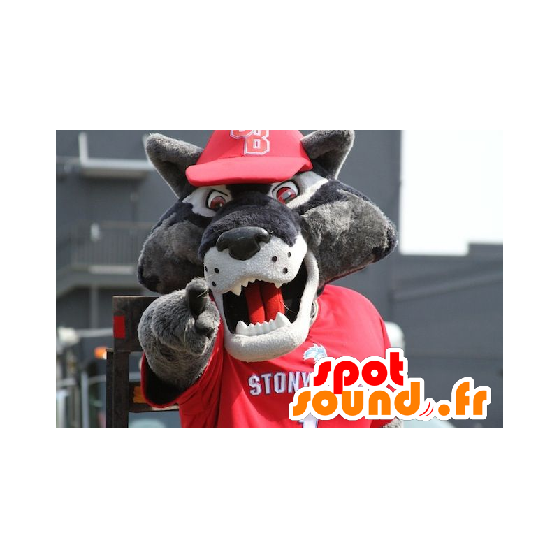 Mascot graue Wolf, in rot gekleidet Sport - MASFR21619 - Maskottchen-Wolf