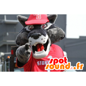 Mascot grijze wolf, gekleed in het rood sport - MASFR21619 - Wolf Mascottes