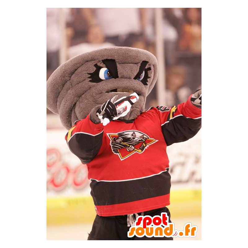 Mascot grijze werveling, gekleed in kleurrijke sport - MASFR21623 - sporten mascotte Mascot grijze werveling, gekleed in kleurrijke sport - MASFR21623 - sporten mascotte