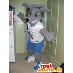 Ocidental mascote Canguru cinzento no equipamento azul e branco - MASFR21651 - mascotes canguru