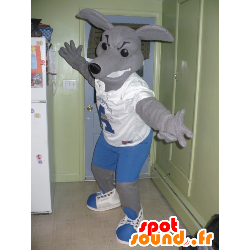 Gray kangaroo mascot in blue and white outfit - MASFR21651 - Kangaroo mascots
