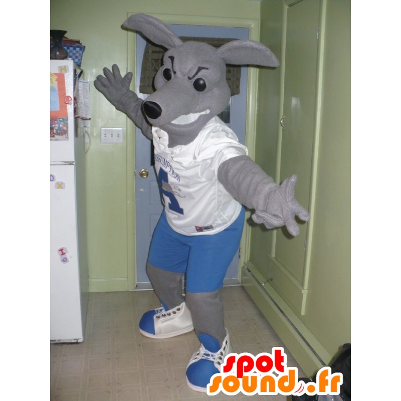 Mascotte de kangourou gris en tenue bleue et blanche - MASFR21651 - Mascottes Kangourou