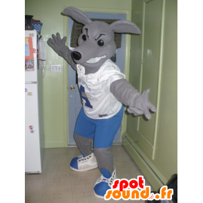 Gray kangaroo mascot in blue and white outfit - MASFR21651 - Kangaroo mascots