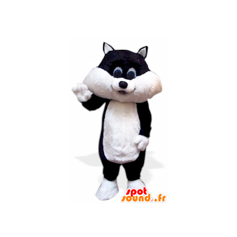 Gatinho mascote, gato preto e branco - MASFR21652 - Mascotes gato