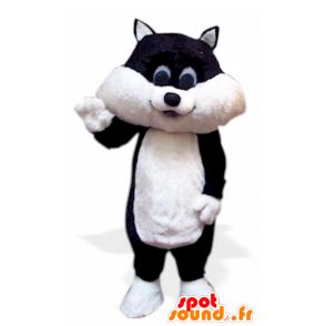 Gatito mascota, gato blanco y negro - MASFR21652 - Mascotas gato