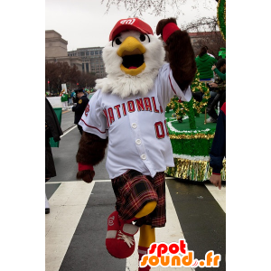 Mascot brown and white eagle in sportswear with a kilt - MASFR21668 - Mascot of birds