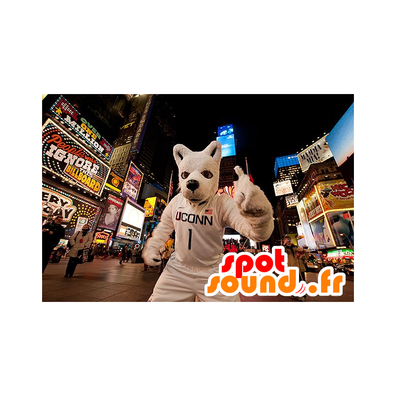 Perro de la mascota, White Wolf, en ropa deportiva - MASFR21701 - Mascotas lobo Perro de la mascota, White Wolf, en ropa deportiva - MASFR21701 - Mascotas lobo