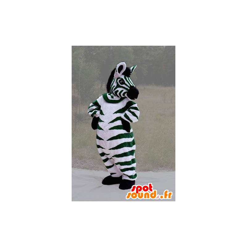 Mascote da zebra verde, preto e branco, gigante - MASFR21709 - Mascotes animais