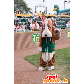Brun og hvit hund maskot, basset jakthund - MASFR21710 - Dog Maskoter