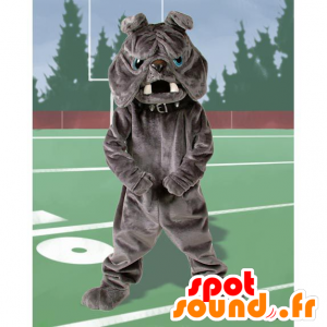 Gray buldogmascotte, blauwe ogen - MASFR21712 - Dog Mascottes