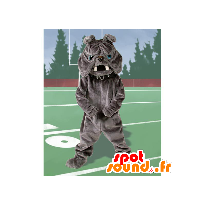 Gray bulldog mascot, blue eyes - MASFR21712 - Dog mascots