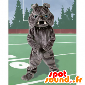 Gray buldogmascotte, blauwe ogen - MASFR21712 - Dog Mascottes