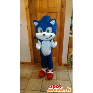 Maskotti Sonic kuuluisan sinisen siilin videopeli - MASFR21714 - julkkikset Maskotteja