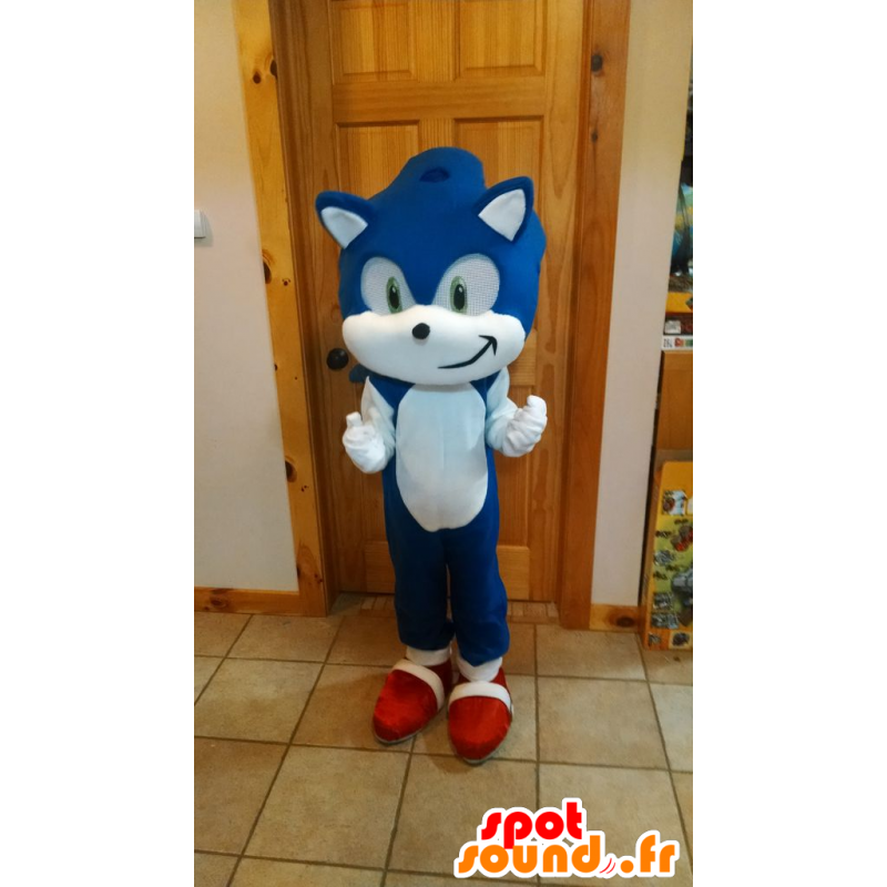 Mascote do Sonic famoso jogo de vídeo ouriço azul