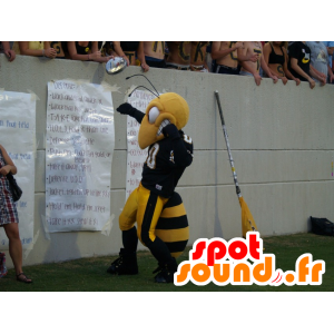 Abeja de la mascota, avispa negro y amarillo - MASFR21728 - Abeja de mascotas