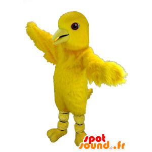 Geel vogel mascotte, reuze kanarie - MASFR21736 - Mascot vogels