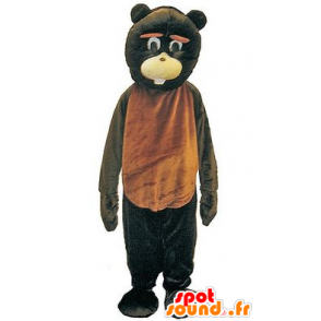 Mascot brown and black bears, giant and fun - MASFR21743 - Bear mascot