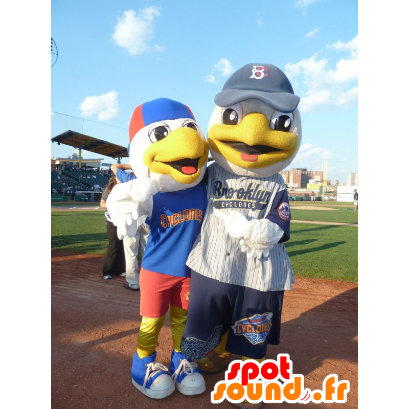2 mascotas de aves, deportes llevan a cabo en las gaviotas - MASFR21765 - Mascota de aves 2 mascotas de aves, deportes llevan a cabo en las gaviotas - MASFR21765 - Mascota de aves