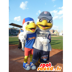 2 mascotas de aves, deportes llevan a cabo en las gaviotas - MASFR21765 - Mascota de aves