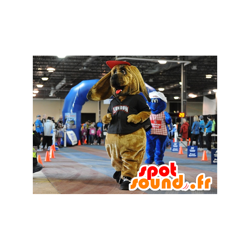 Brown dog mascot, basset hound, in sportswear - MASFR21776 - Dog mascots Brown dog mascot, basset hound, in sportswear - MASFR21776 - Dog mascots