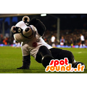 Mascot av svart og hvit bjørn, vaskebjørn - MASFR21783 - bjørn Mascot