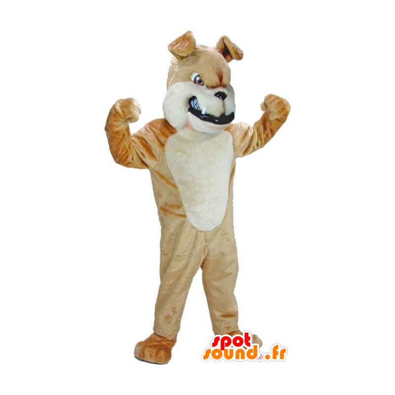 Mascotte de chien marron et blanc, à l'air farouche - MASFR21784 - Mascottes de chien