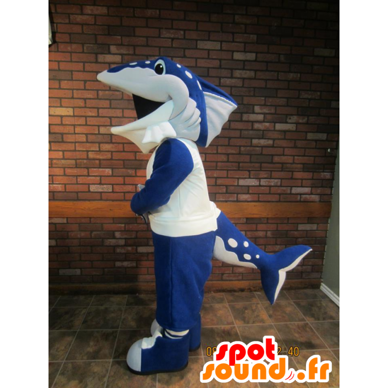 Dolphin μασκότ, καρχαρίας, μπλε όρκα - MASFR21839 - Dolphin μασκότ Dolphin μασκότ, καρχαρίας, μπλε όρκα - MASFR21839 - Dolphin μασκότ