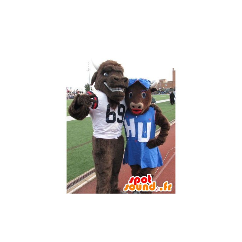 2 mascots, brown cow and bull - MASFR21870 - Mascot cow 2 mascots, brown cow and bull - MASFR21870 - Mascot cow