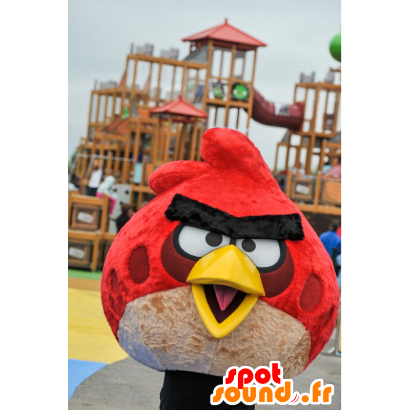 Maskotka Angry Birds, ptak sławny gry wideo - MASFR21884 - ptaki Mascot Maskotka Angry Birds, ptak sławny gry wideo - MASFR21884 - ptaki Mascot