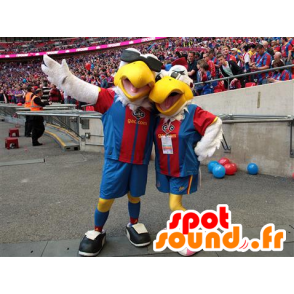 2 mascotes pássaros brancos, gaivota - MASFR21889 - aves mascote