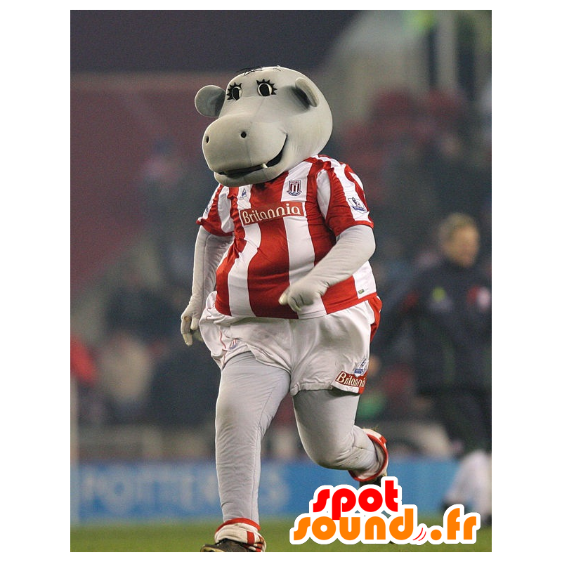 Grijze hippo mascotte in sportkleding - MASFR21914 - Hippo Mascottes