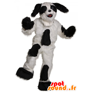 Mascotte de chien noir et blanc, tout poilu - MASFR21918 - Mascottes de chien