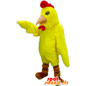 Mascotte uccello, pollo, giallo e rosso gallo - MASFR21952 - Mascotte di galline pollo gallo