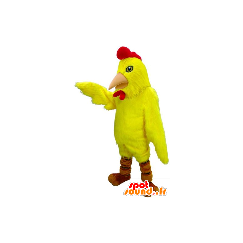 Mascot vogel, kip, gele en rode haan - MASFR21952 - Mascot Hens - Hanen - Kippen