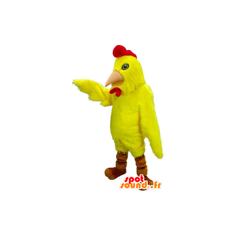 Maskotti lintu, kana, keltainen ja punainen kukko - MASFR21952 - Mascotte de Poules - Coqs - Poulets