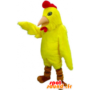 Mascotte pájaro, pollo, amarillo y gallo rojo - MASFR21952 - Mascota de gallinas pollo gallo