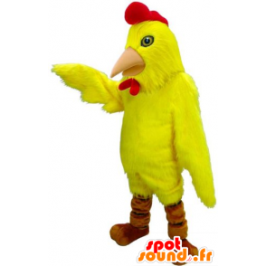 Maskotfugl, høne, gul og rød hane - Spotsound maskot kostume