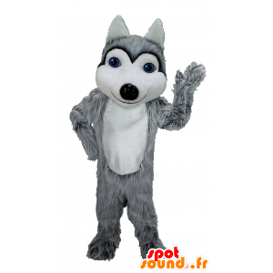 Mascot grijze en witte wolf met blauwe ogen - MASFR21965 - Wolf Mascottes