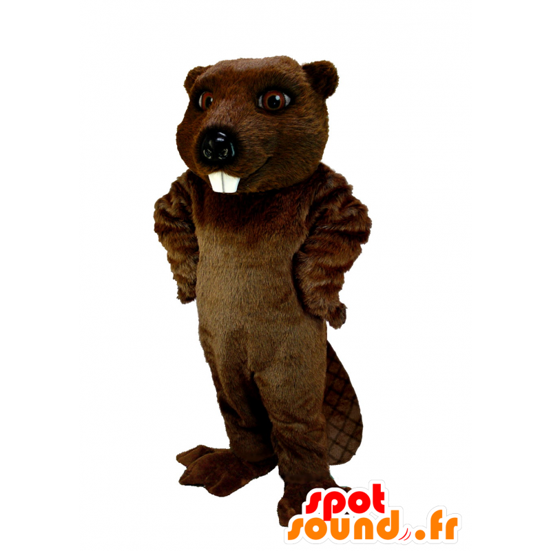 Brown beaver mascot, very realistic - MASFR21968 - Beaver mascots