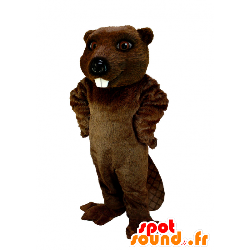 Brown beaver mascotte, molto realistico - MASFR21968 - Castori mascotte