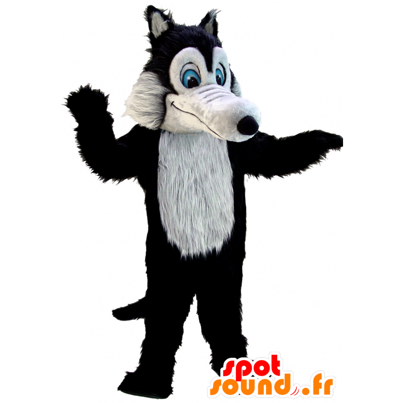 Mascotte nero e grigio lupo, mentre peloso, dagli occhi blu - MASFR21970 - Mascotte lupo