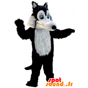 Mascota del lobo negro y gris, mientras peluda, de ojos azules - MASFR21970 - Mascotas lobo