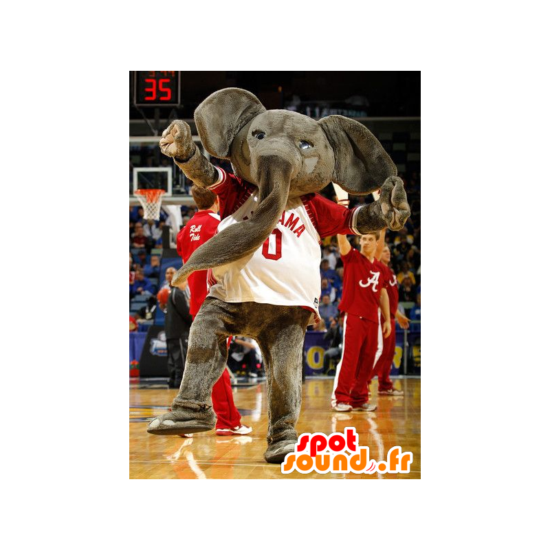Mascot grigio elefante, gigante, con una camicia rossa e bianca - MASFR21973 - Mascotte elefante