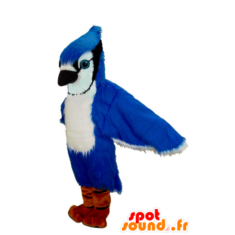 Mascot Bluebird, valkoinen ja musta, Blue Jay - MASFR21974 - maskotti lintuja Mascot Bluebird, valkoinen ja musta, Blue Jay - MASFR21974 - maskotti lintuja
