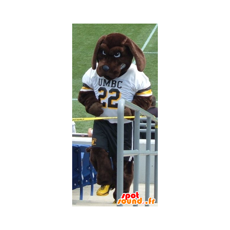 Mascota Perro de Brown en ropa deportiva - MASFR21975 - Mascotas perro Mascota Perro de Brown en ropa deportiva - MASFR21975 - Mascotas perro