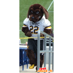 Mascota Perro de Brown en ropa deportiva - MASFR21975 - Mascotas perro